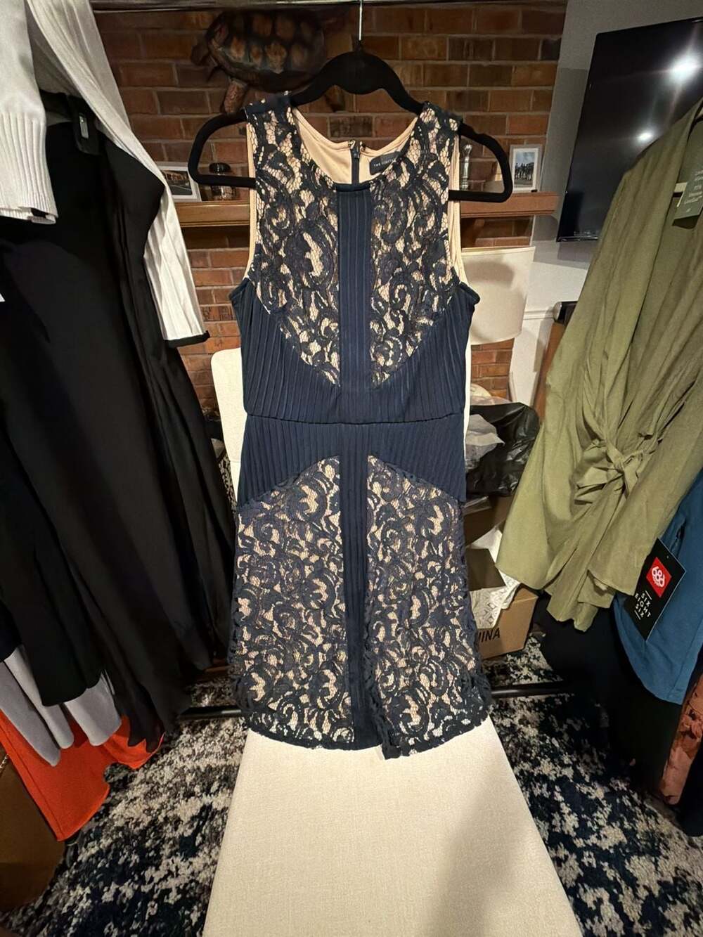 The Limited Black Lace & Nude Lining Sleeveless Pleated Dress